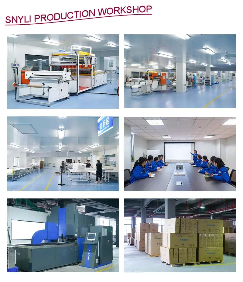 การประชุมเชิงปฏิบัติการการผลิต SNYLI